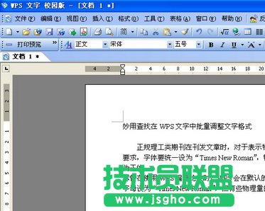 WPS文字批量調(diào)整文字格式教程