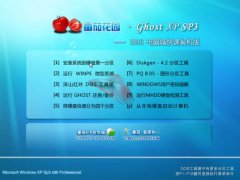番茄花園xp系統(tǒng)系統(tǒng)游戲電腦維護(hù)方法