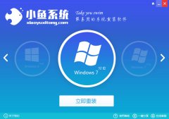 小魚一鍵重裝正版windowsxp的方法分享