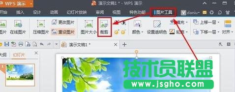 wps演示如何對(duì)圖片進(jìn)行裁剪