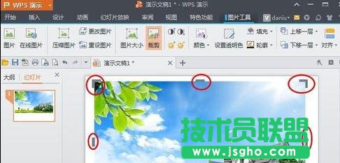 wps演示如何對(duì)圖片進(jìn)行裁剪