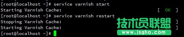 Varnish不能啟動問題的解決辦法