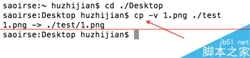 9條Linux簡單又實用的指令介紹