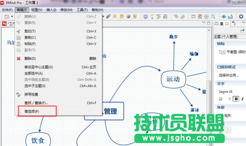 XMind思維導(dǎo)圖軟件界面語言怎么更改？ 三聯(lián)