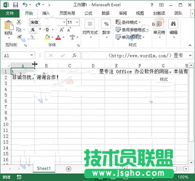 Excel2013怎么進(jìn)行排版？   三聯(lián)