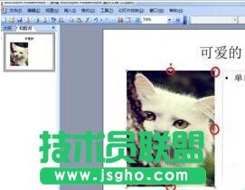 ppt2013怎么設(shè)置文字環(huán)繞效果?