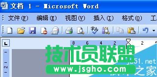 word文檔怎么在圖片上寫字?