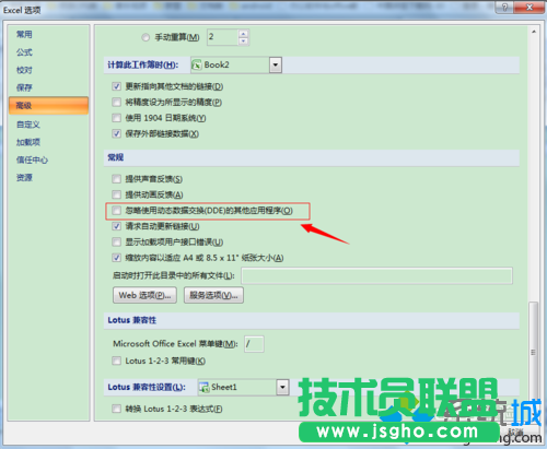 “忽略使用動態(tài)數(shù)據(jù)交換(DDE)的其他應(yīng)用程序”