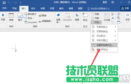 word2016怎么設(shè)置頁碼 word2016設(shè)置頁碼教程