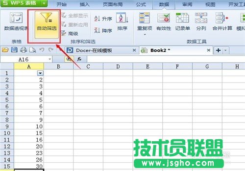 wps表格如何操作篩選格式?