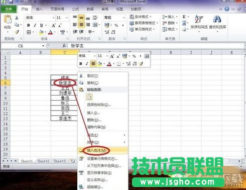 Excel2010批注中怎么插入文字 Excel2010批注中文字插入的方法