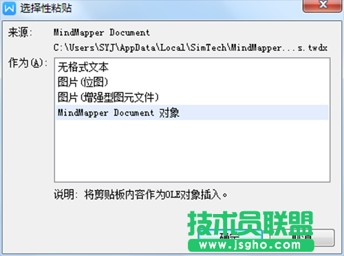 MindMapper導(dǎo)圖插入到Word