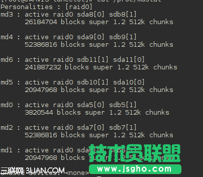 在RAID軟磁盤(pán)陣列上搭建linux系統(tǒng)