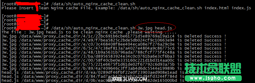 使用Shell腳本批量清除Nginx緩存 三聯(lián)