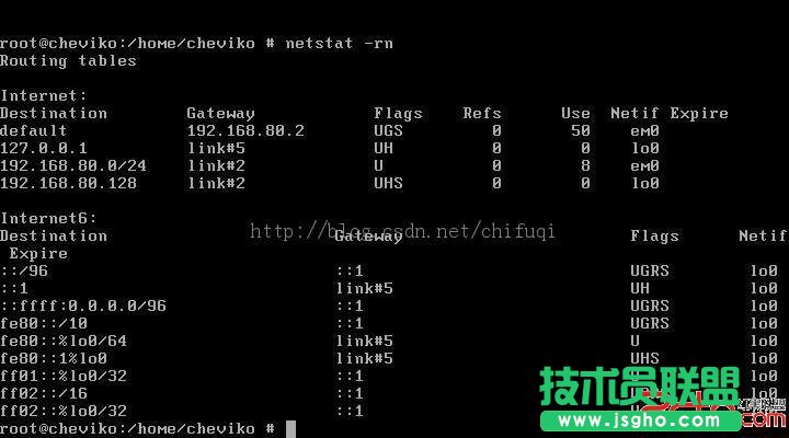 VMware中FreeBSD系統(tǒng)采用NAT方式上網(wǎng)