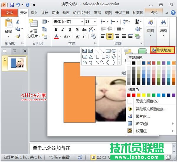 PowerPoint2010中圖片的透明遮罩技巧