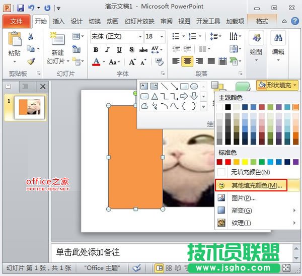 PowerPoint2010中圖片的透明遮罩技巧