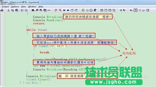 source insight 中文亂碼的解決方案