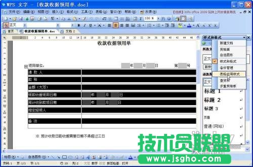 巧用WPS 2009將文檔處理變成填字游戲