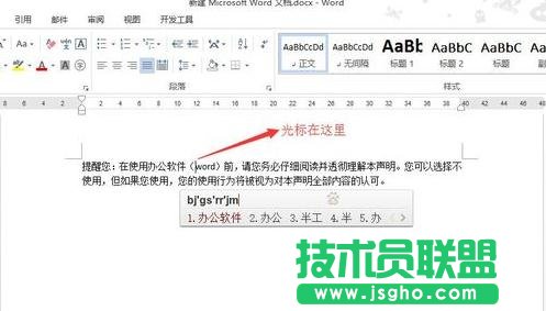 word2013如何使用插入和改寫(xiě)模式