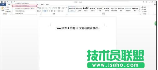 word2013打印預(yù)覽在哪