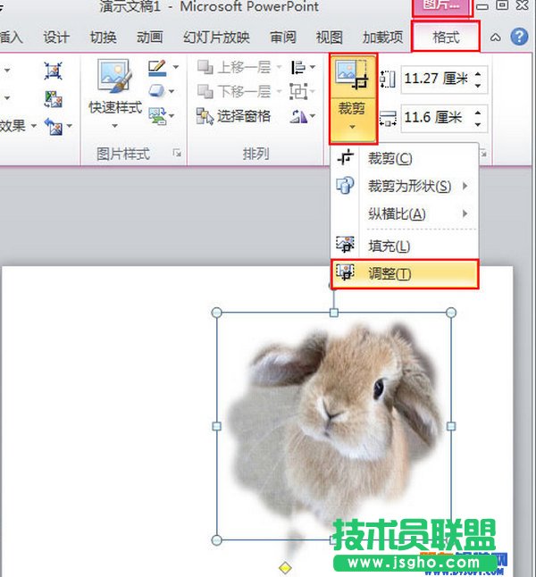 PowerPoint2010怎么自定義插入圖片的樣式