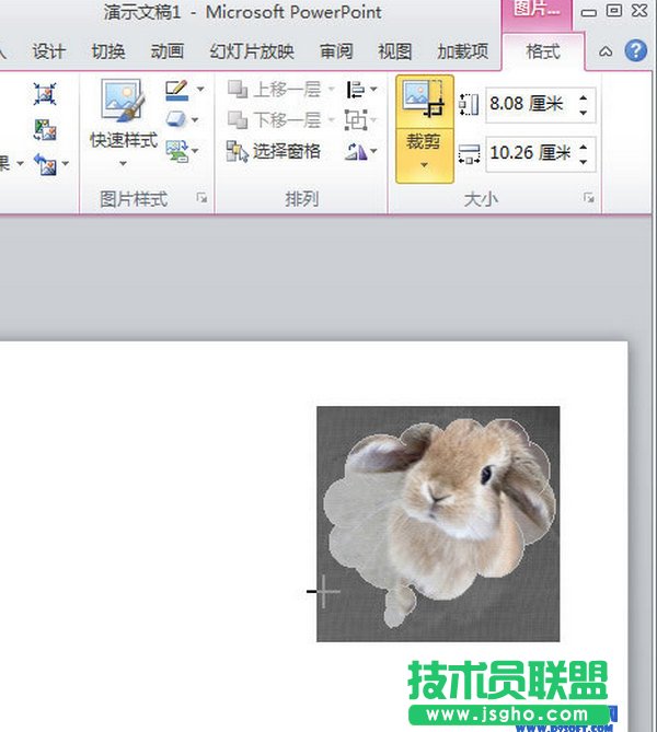 PowerPoint2010怎么自定義插入圖片的樣式