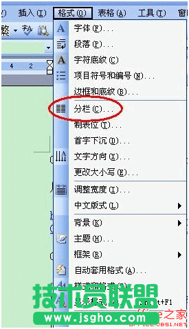 WPS文檔如何分欄?