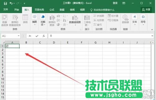 Excel2016怎么插入帶勾的方框(多項(xiàng)選擇符號(hào))?