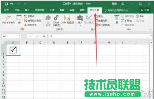 Excel2016怎么插入帶勾的方框(多項(xiàng)選擇符號(hào))?