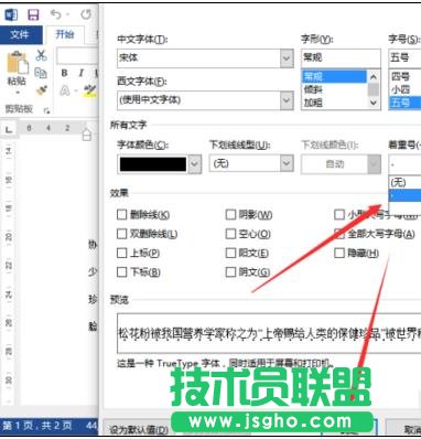 word2013中如何添加著重號(hào)