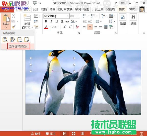 PowerPoint2013中設(shè)置文本背景填充效果