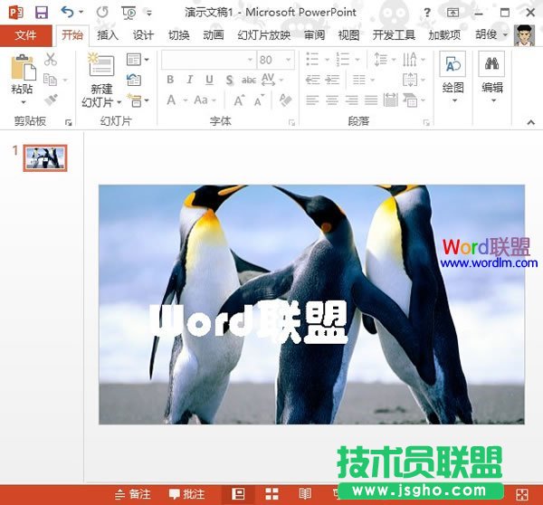 PowerPoint2013中設(shè)置文本背景填充效果