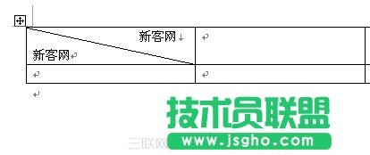 WPS中如何制作表格的斜線表頭？ 