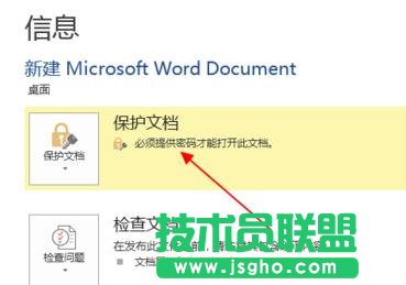 word2013文檔如何進(jìn)行加密保護(hù)