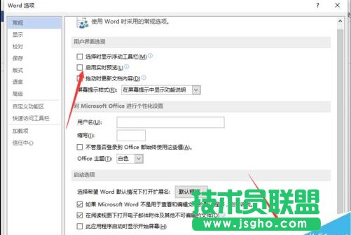Word2013中取消“啟用實時預(yù)覽”功能