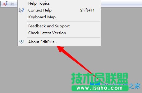 Win8系統(tǒng)editplus如何激活？Win8系統(tǒng)editplus激活方法介紹