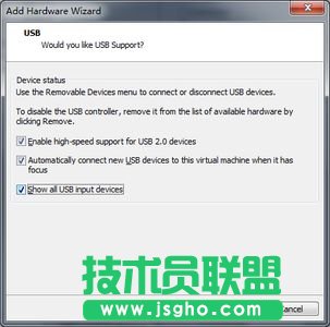 徹底解決VMware 7.1中3D游戲鼠標(biāo)發(fā)飄的問題