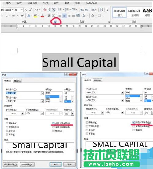 word設(shè)小型大寫字母small capitals