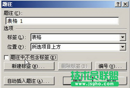 word2007為表格插入題注