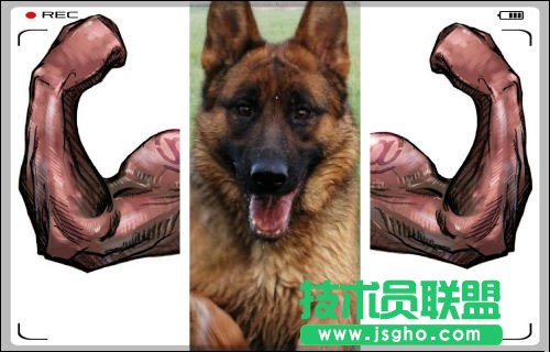拼圖不如拼創(chuàng)意 好照片給生活加點(diǎn)兒料 三聯(lián)教程