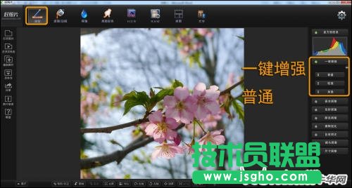 跟著好照片學后期 調(diào)出日系淡雅花卉