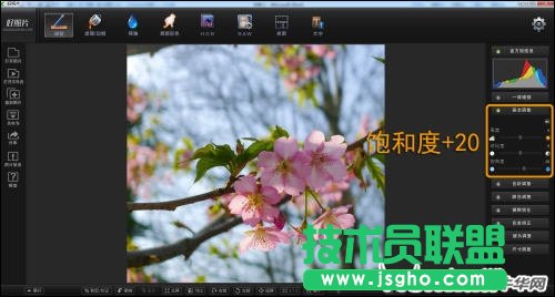 跟著好照片學后期 調(diào)出日系淡雅花卉
