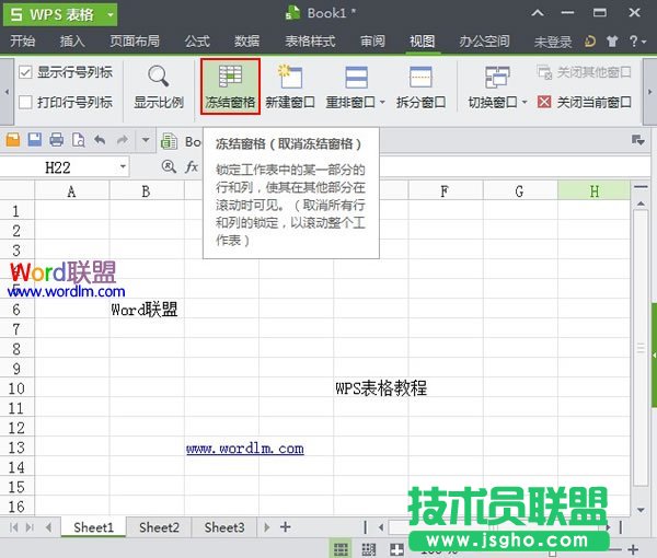 WPS表格2013凍結(jié)窗格功能怎么用？ 三聯(lián)