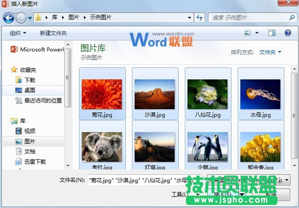 如何批量將圖片快速導入到PowerPoint2013中