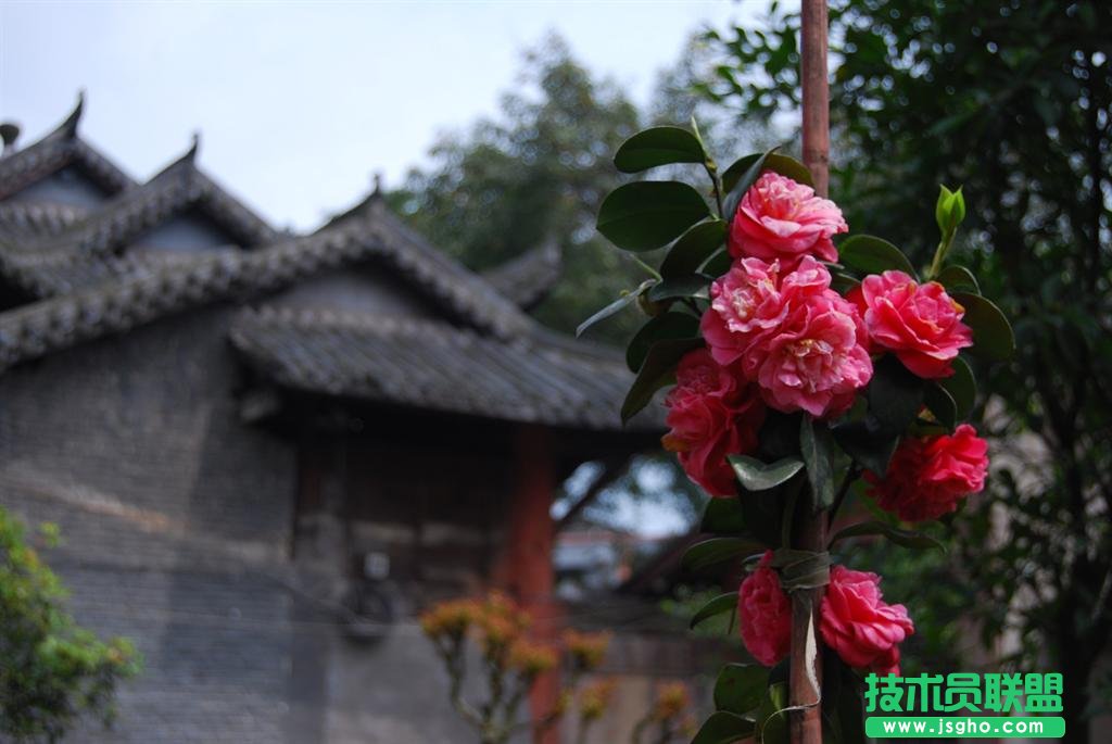 簡(jiǎn)單易上手的攝影后期軟件 一招搞定好照片