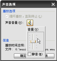 WPS演示的“插入背景音樂”的功能