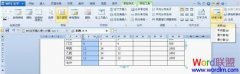 WPS文字中插入復(fù)雜表格數(shù)據(jù)快速計(jì)算