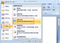 word文檔要怎么加密？