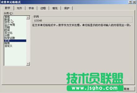 單元格格式